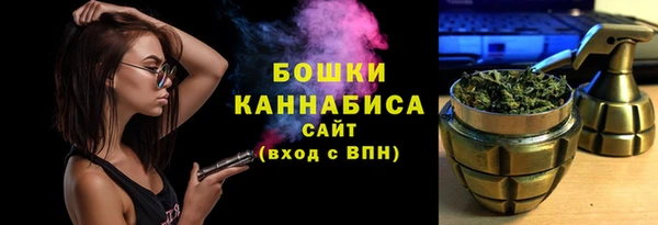 сатива Арсеньев