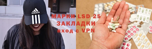 СК Аркадак