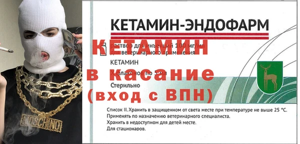 сатива Арсеньев