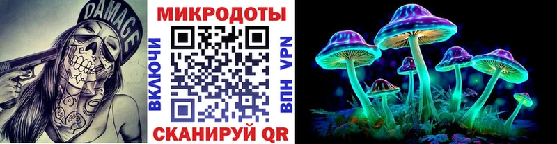 Галлюциногенные грибы Psilocybine cubensis Биробиджан