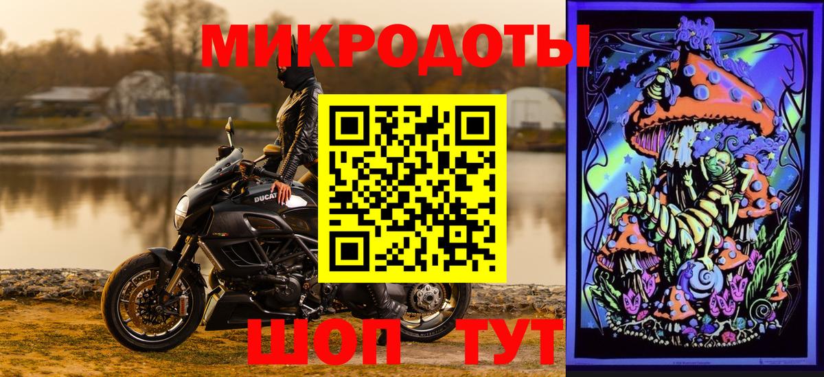 Биробиджан  Галлюциногенные грибы Psilocybine cubensis  Вход с VPN 